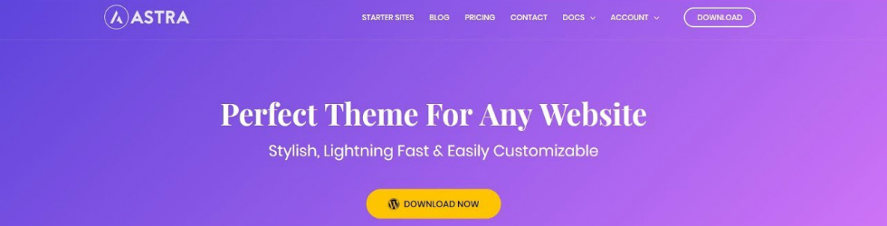 Astra_WordPress Premium Theme